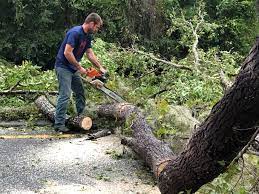 Seasonal Cleanup (Spring/Fall) in Sullivan, IN